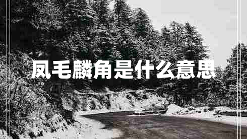 鳳毛麟角是什么意思