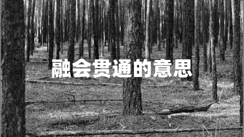 融會貫通的意思