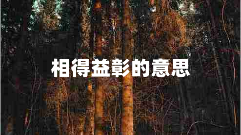 相得益彰的意思