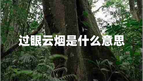 過眼云煙是什么意思