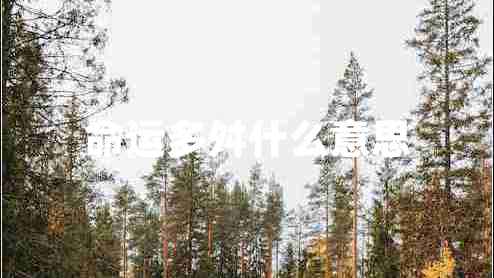 命運(yùn)多舛什么意思