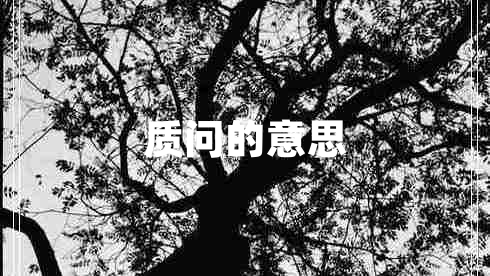質(zhì)問(wèn)的意思