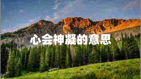 心會(huì)神凝的意思