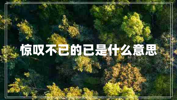 驚嘆不已的已是什么意思