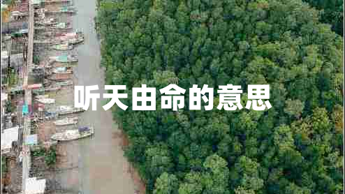 聽天由命的意思