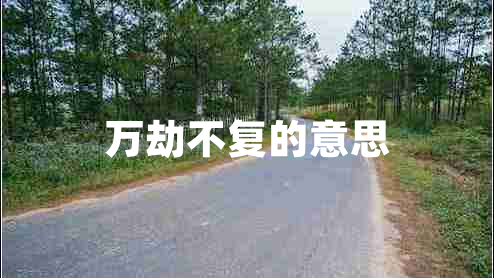 萬(wàn)劫不復(fù)的意思