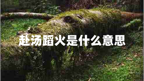 赴湯蹈火是什么意思