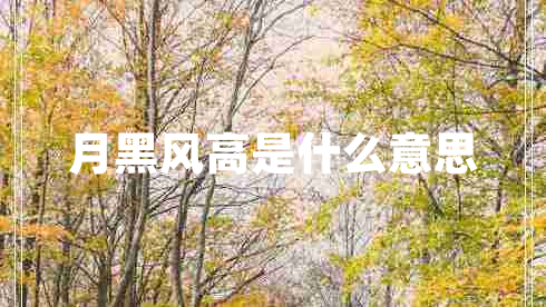 月黑風(fēng)高是什么意思