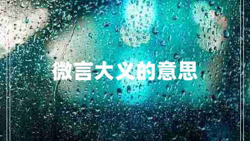 微言大義的意思