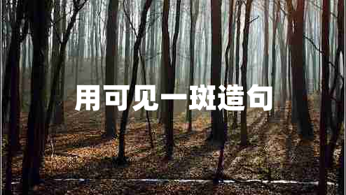 用可見一斑造句