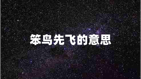 笨鳥先飛的意思