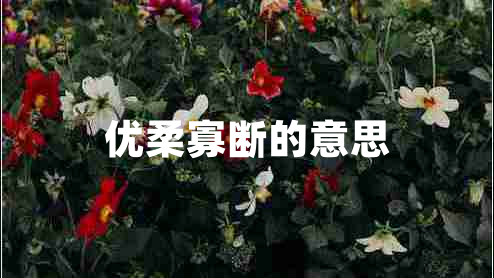 優(yōu)柔寡斷的意思