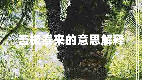 否極泰來(lái)的意思解釋