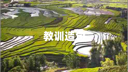 教訓(xùn)造句 教訓(xùn)造句