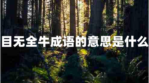 目無全牛成語的意思是什么