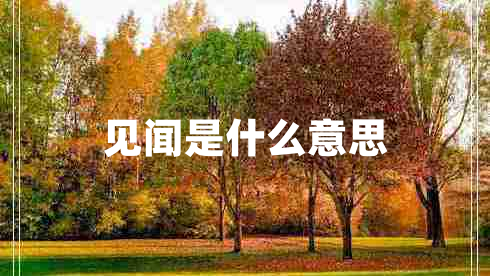 見聞是什么意思