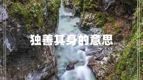 獨善其身的意思