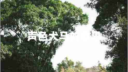 聲色犬馬的意思