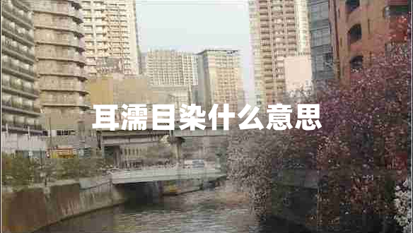 耳濡目染什么意思