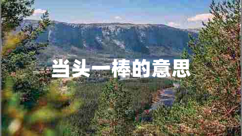 當(dāng)頭一棒的意思