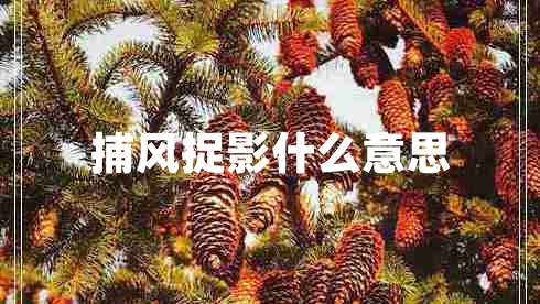 捕風(fēng)捉影什么意思