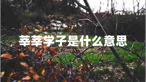 莘莘學(xué)子是什么意思