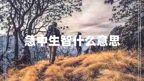急中生智什么意思