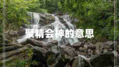 聚精會神的意思