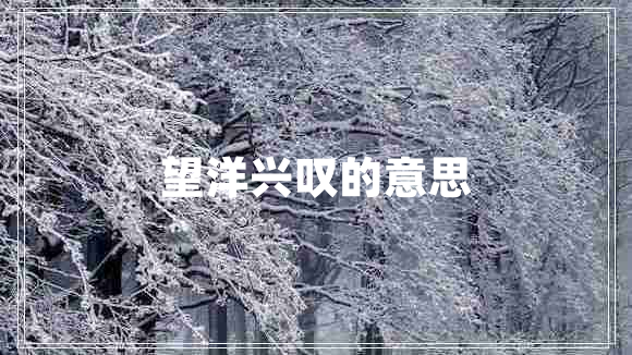 望洋興嘆的意思