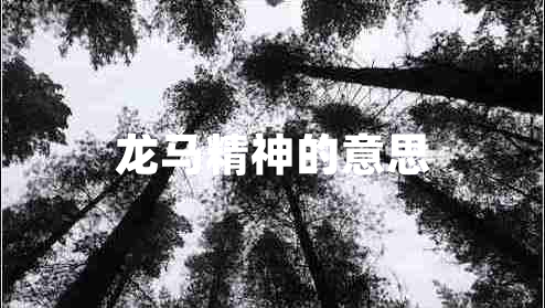 龍馬精神的意思