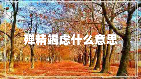 殫精竭慮什么意思