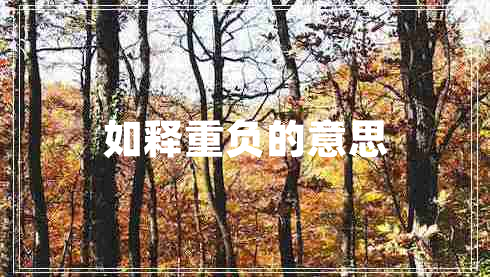 如釋重負的意思