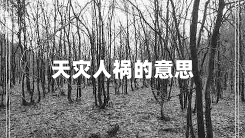 天災人禍的意思