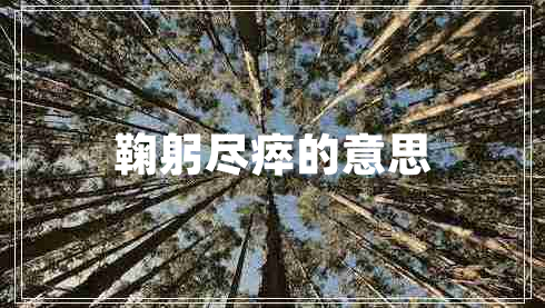 鞠躬盡瘁的意思 鞠躬盡瘁的意思