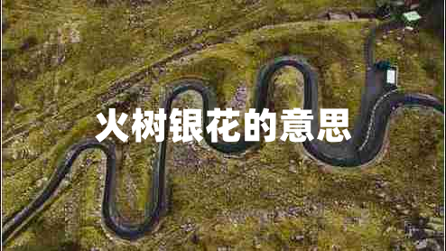 火樹銀花的意思