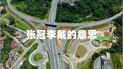 張冠李戴的意思