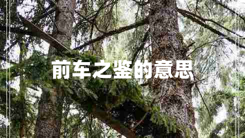 前車之鑒的意思