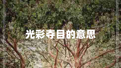 光彩奪目的意思