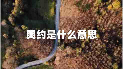 爽約是什么意思