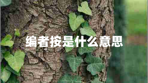 編者按是什么意思