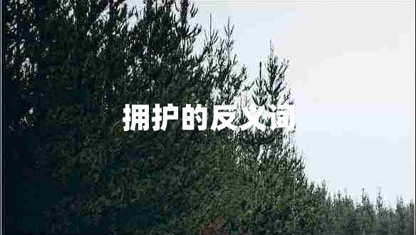 擁護(hù)的反義詞