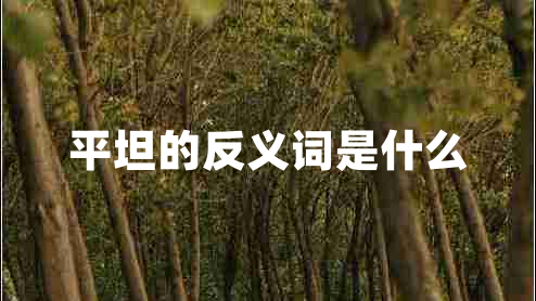 平坦的反義詞是什么