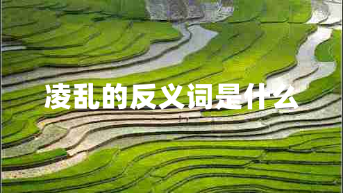 凌亂的反義詞是什么