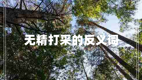 無精打采的反義詞