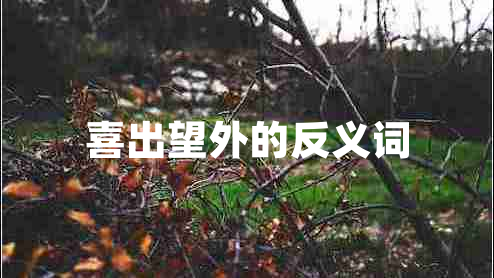 喜出望外的反義詞