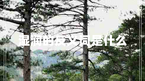 濕潤的反義詞是什么