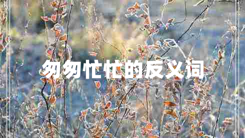 匆匆忙忙的反義詞