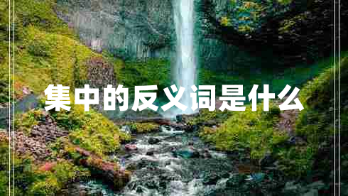 集中的反義詞是什么