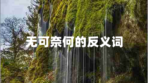 無可奈何的反義詞