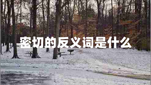 密切的反義詞是什么